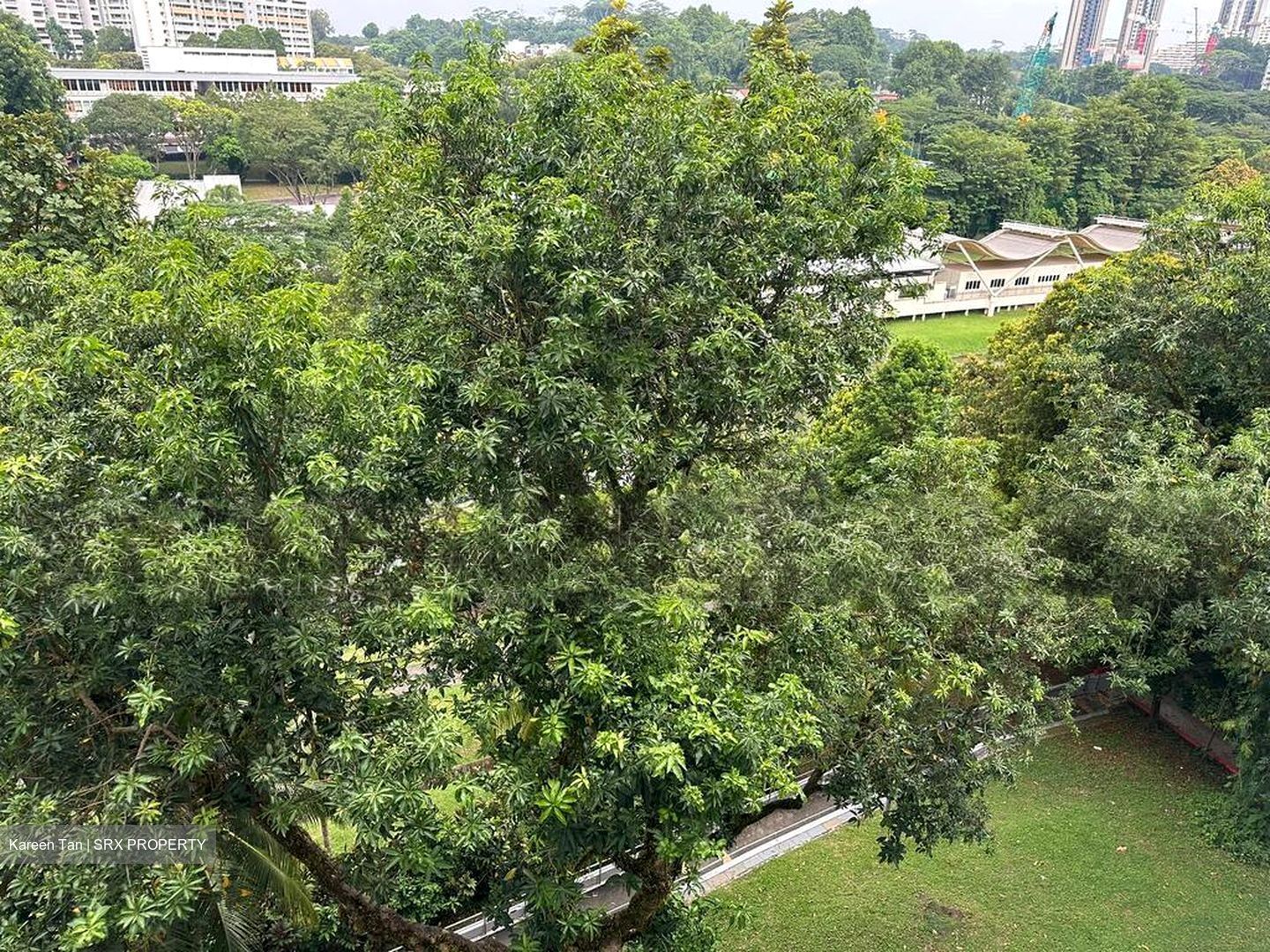 Blk 371 Clementi Avenue 4 (Clementi), HDB 3 Rooms #503087571